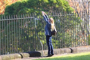 palisade fence